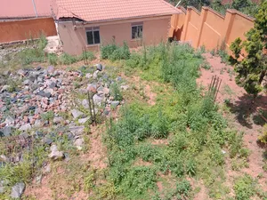 Plot for Sale 24 Decimals