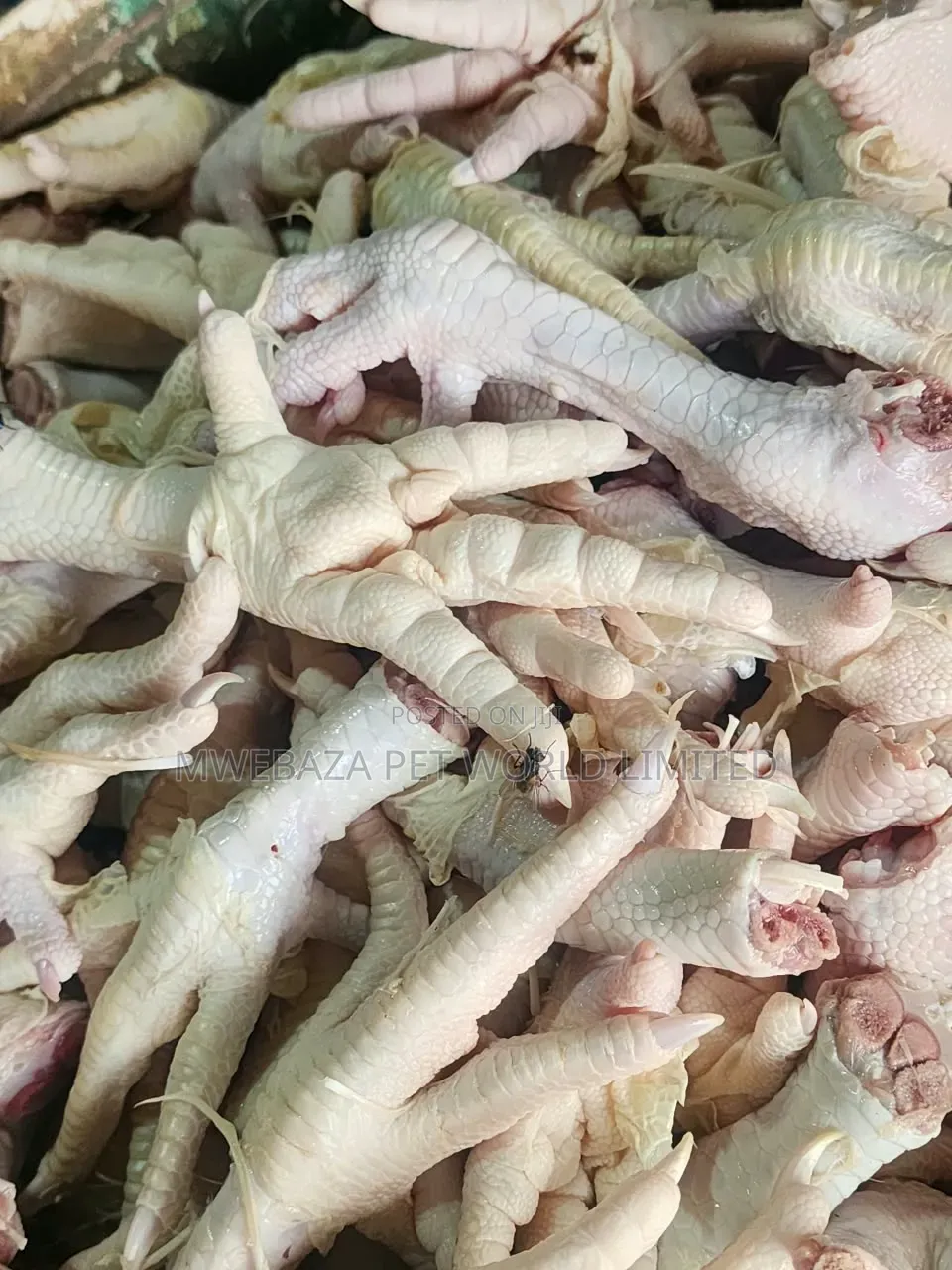Chicken Feets Dog Food