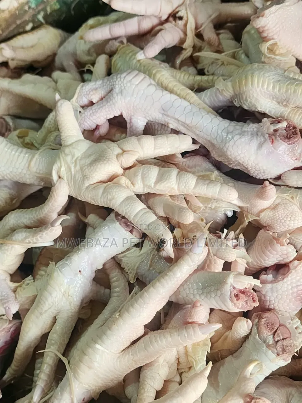 Chicken Feets Dog Food