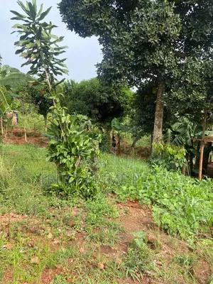 18 Decimals Plot in Nakawuka Jjungo - 500M Off Main Road - 42M