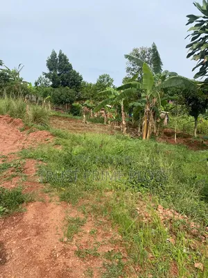 18 Decimals Plot in Nakawuka Jjungo - 500M Off Main Road - 42M