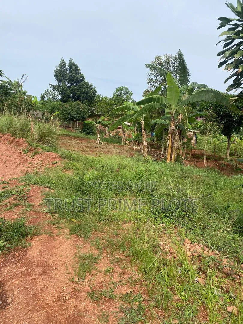 18 Decimals Plot in Nakawuka Jjungo - 500M Off Main Road - 42M