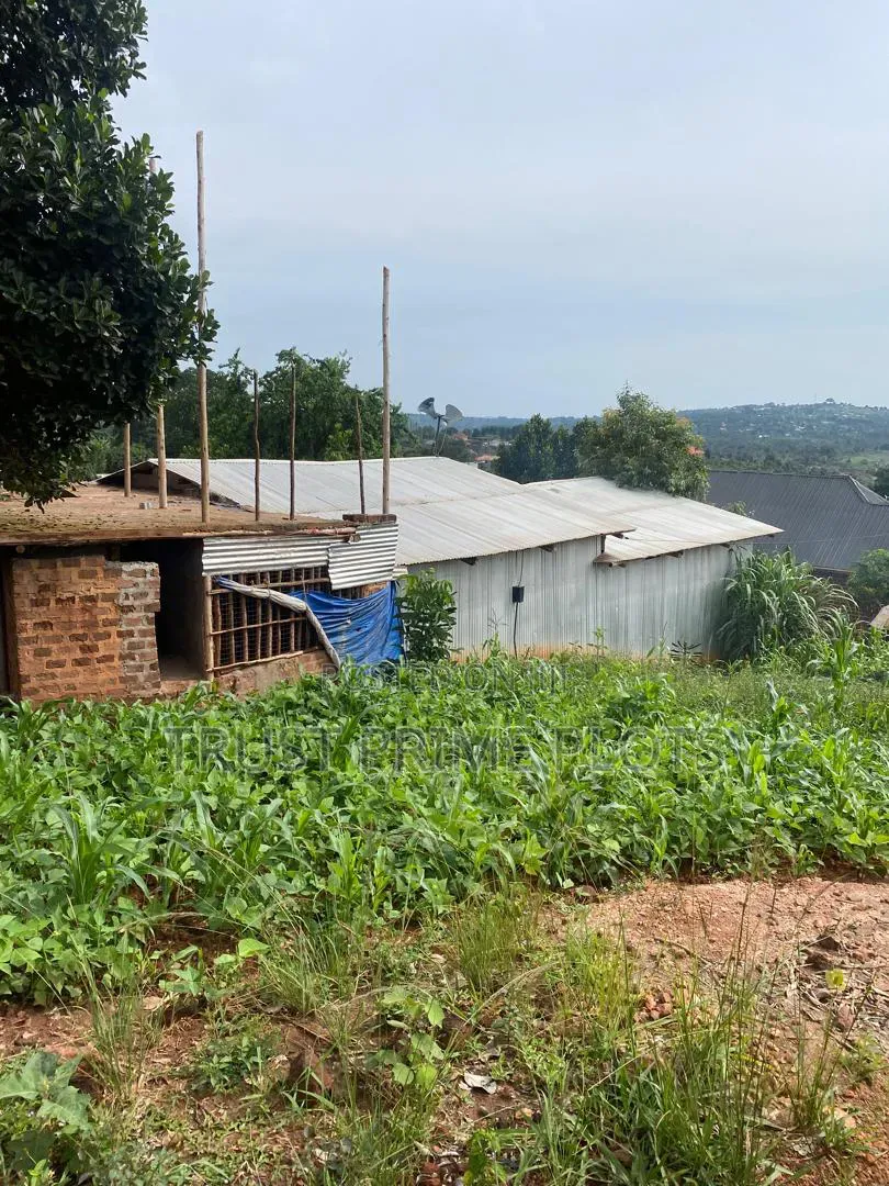 18 Decimals Plot in Nakawuka Jjungo - 500M Off Main Road - 42M