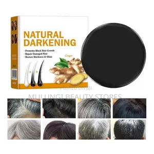 Disaar Natural Hair Grey Darkening Soap