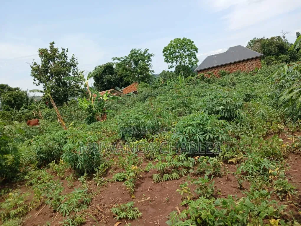 Plot on Sale at Komamboga