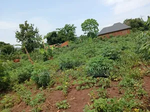 Plot on Sale at Komamboga