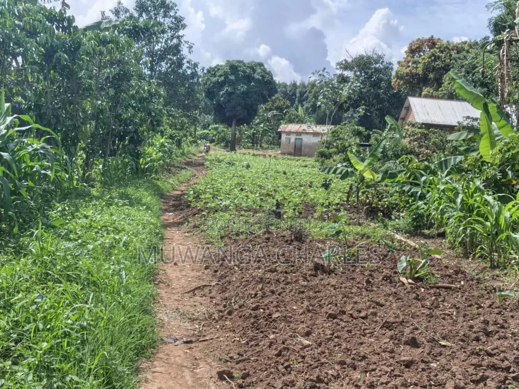 Land on Sale at Zirobwe Kiyiya Kakala