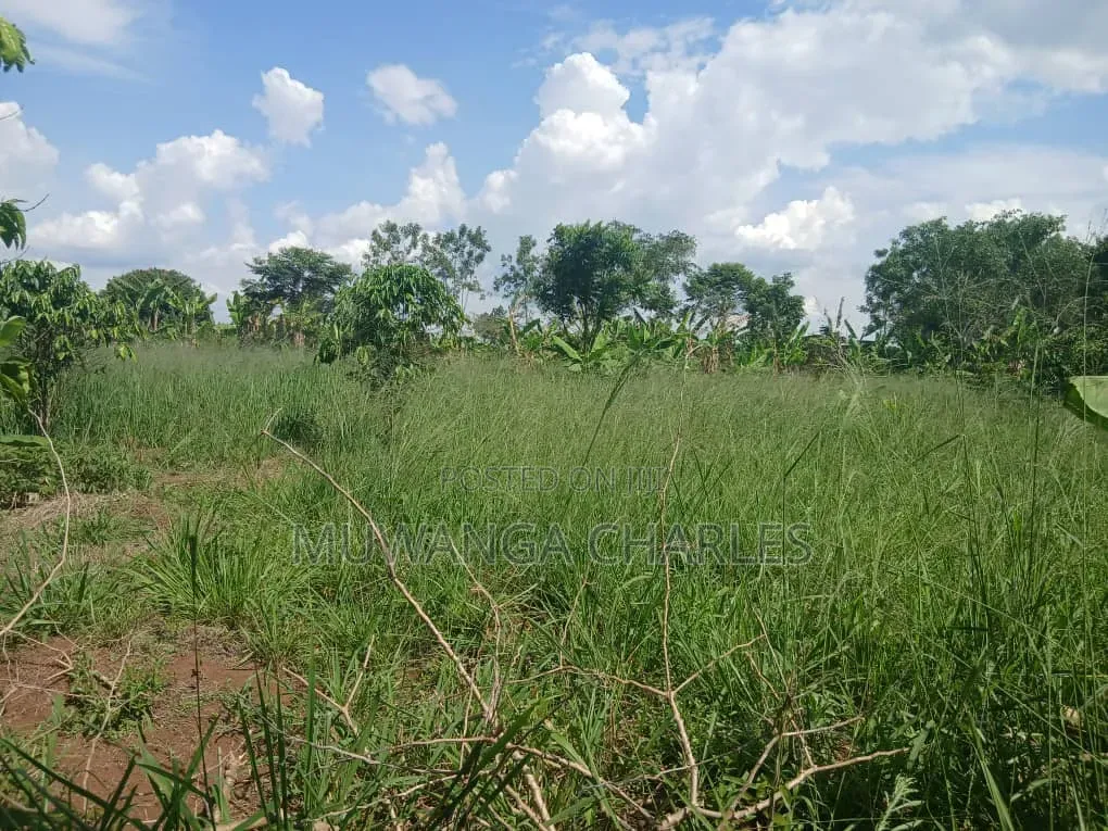 Land on Sale at Nakasongola Kakoge