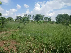 Land on Sale at Nakasongola Kakoge