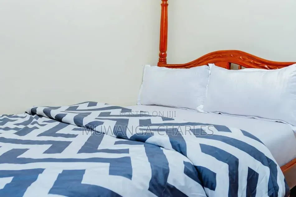 Furnished 2bdrm Apartment in Fs Properties Ltd, Nakawa for rent