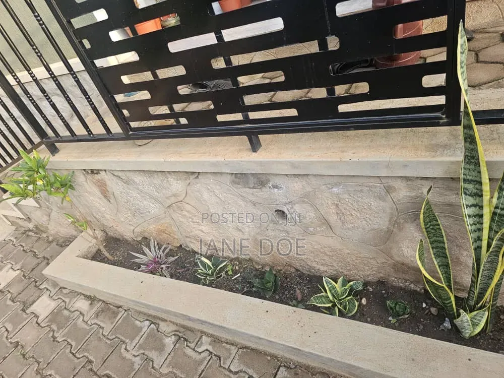Collection of Over 65 Plants
