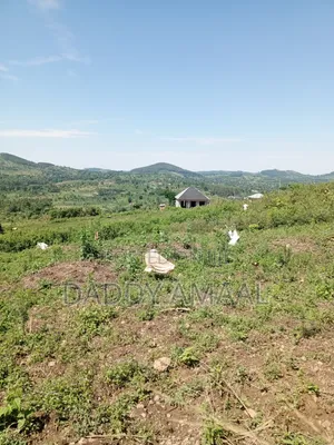 Nampunge 50 X 100 Hoima Road