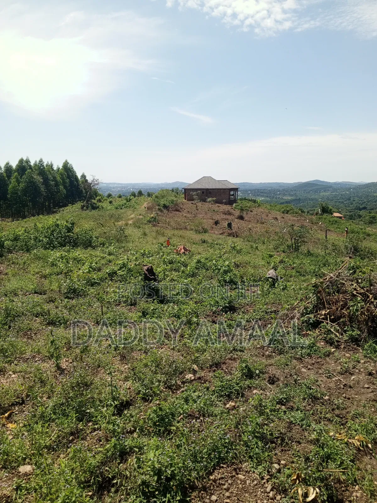 Nampunge 50 X 100 Hoima Road