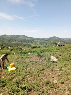 Nampunge 50 X 100 Hoima Road