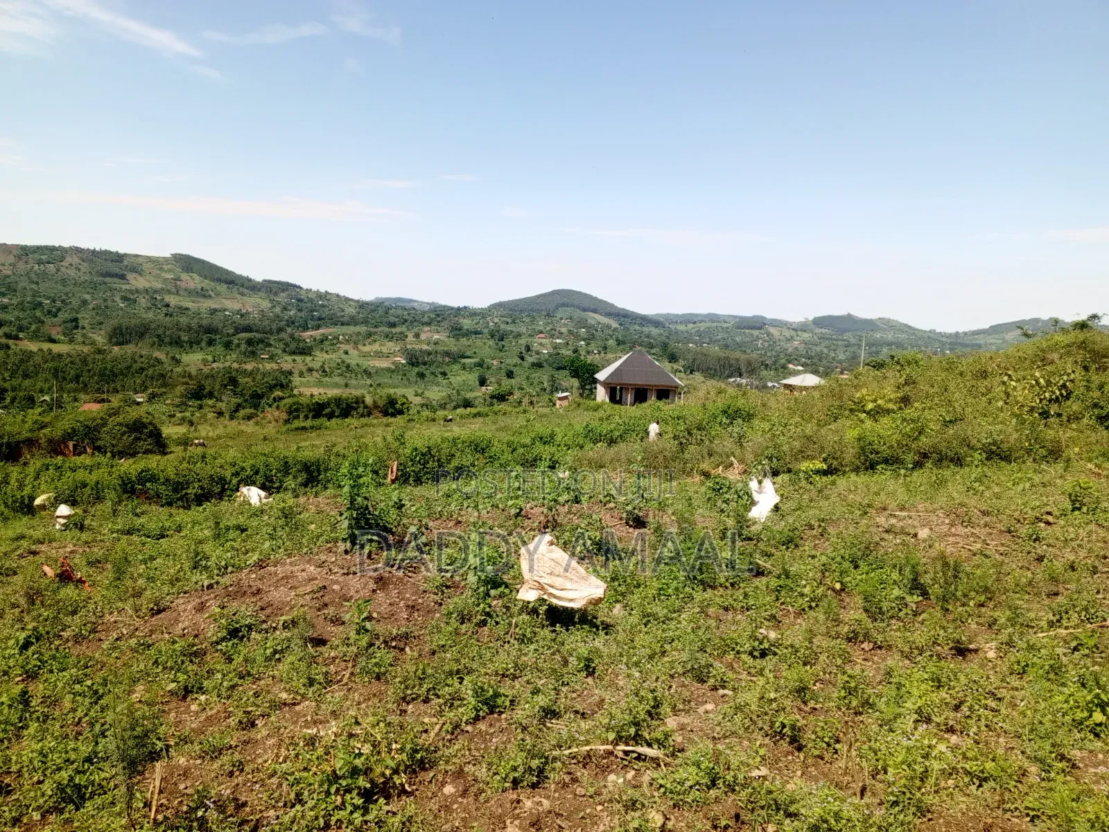 Nampunge 50 X 100 Hoima Road