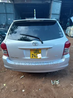 Toyota Corolla Fielder 2007 Silver