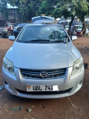 Toyota Corolla Fielder 2007 Silver