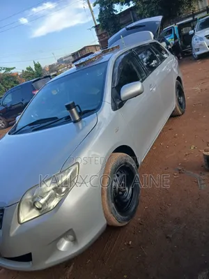 Toyota Corolla Fielder 2007 Silver