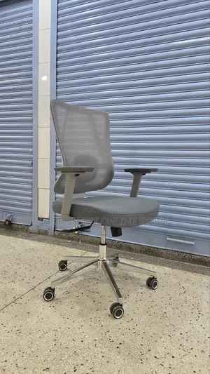 Ergonomic Back Support Office Chair Office Chair