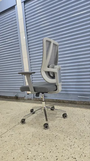 Ergonomic Back Support Office Chair Office Chair