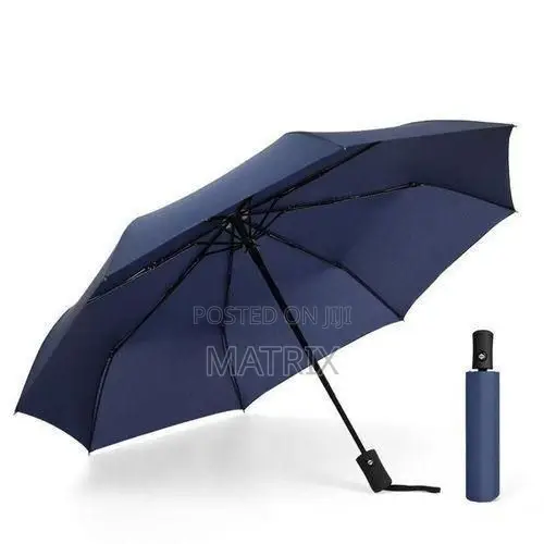 Foldable Umbrella