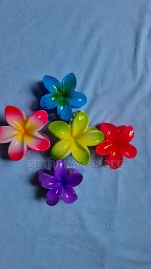Hair Claw Clips