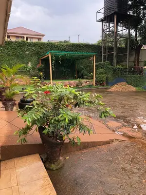 3bdrm Bungalow in Central Division for rent