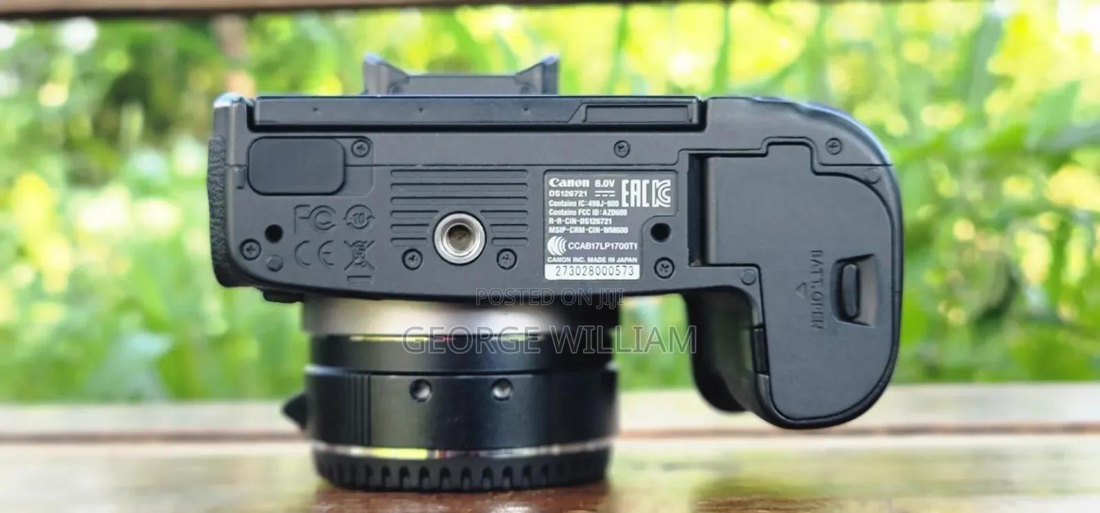Canon Eos R + Adapter and Lens