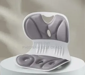 Lambar Seat Cushion Posture
