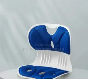 Lambar Seat Cushion Posture