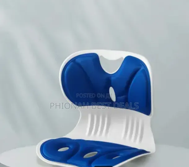 Lambar Seat Cushion Posture