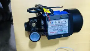 Mokeeta Solar Surface Pump