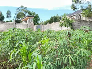 100by50ft Plot on Sale at Kira 4