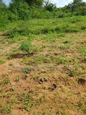 Land Sale in Soroti City West Amen A,