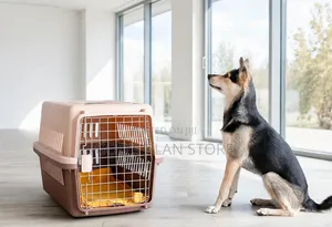 Plastic Dogs Cages/Kennel