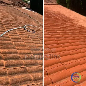 Affordable Roof Tile Cleaning