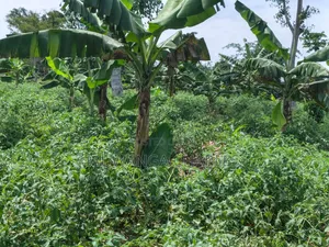 Land on Sale at Semuto