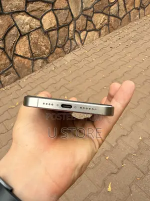 Apple iPhone 15 Pro Max 256 GB Gray