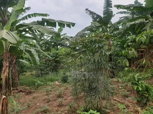 Farm Land Suitale for Plantations Coffee Banana Etc