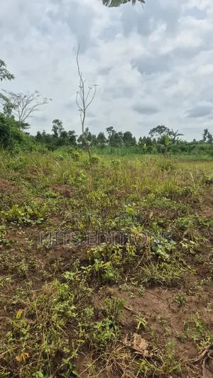 Farm Land Suitale for Plantations Coffee Banana Etc