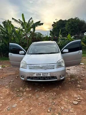 Toyota Raum 2006 Gray