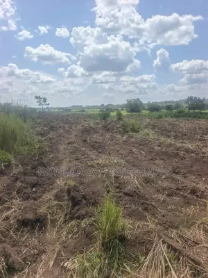 Farm Land for Rent OR Lease