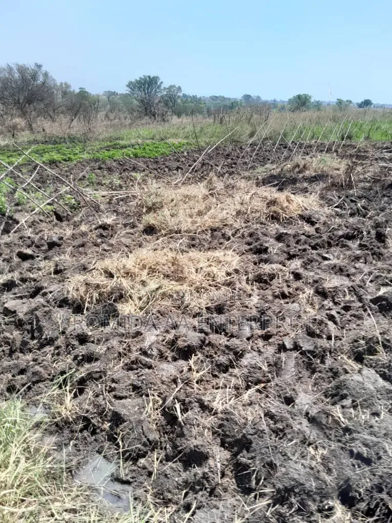 Farm Land for Rent OR Lease