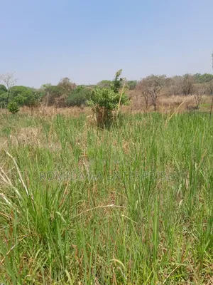 Farm Land for Rent OR Lease