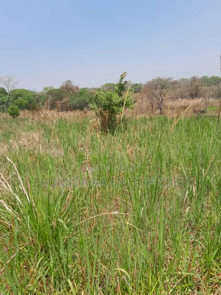 Farm Land for Rent OR Lease