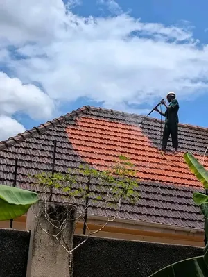 Rooftile Cleaning