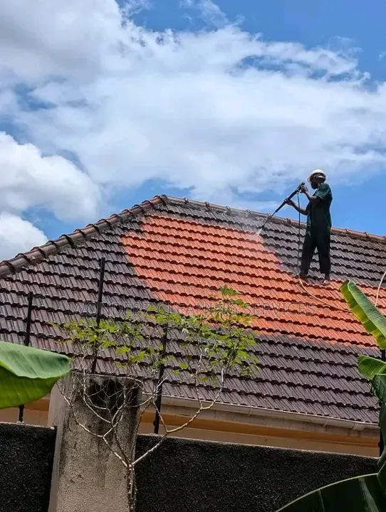 Rooftile Cleaning