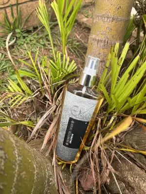 Hunter Intense Body Mist by Armaf - 250mls