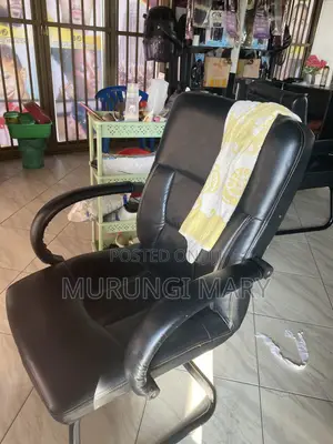 Salon Chairs