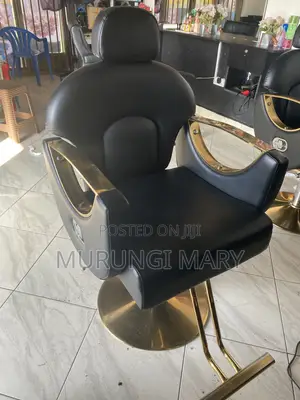 Salon Chairs